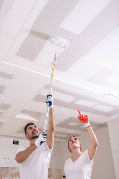Best Mold Documentation for Insurance Claims  in Calumet Park, IL