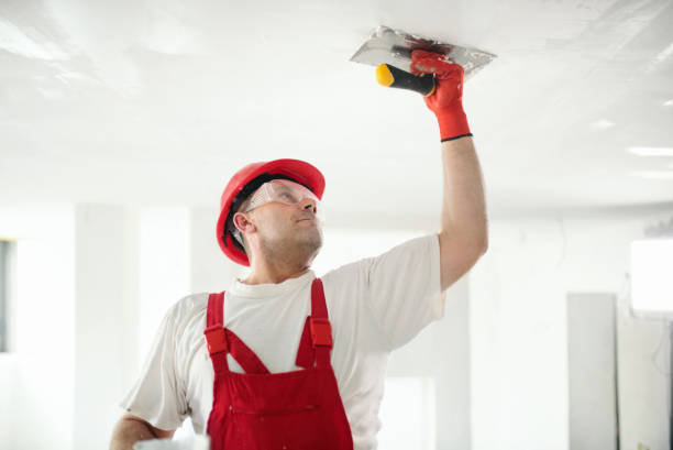 Best Indoor Air Quality Assessment  in Calumet Park, IL