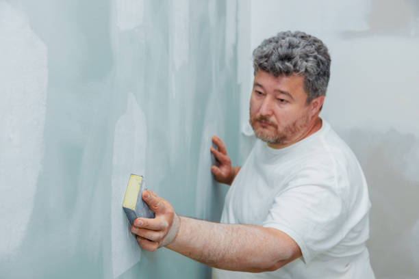 Calumet Park, IL Mold Removal Company