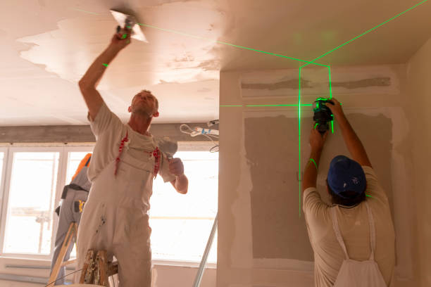 Best Attic Mold Removal  in Calumet Park, IL