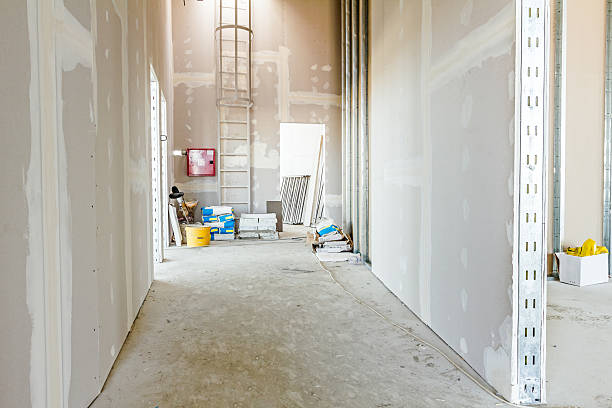 Best Post-Construction Mold Inspection  in Calumet Park, IL